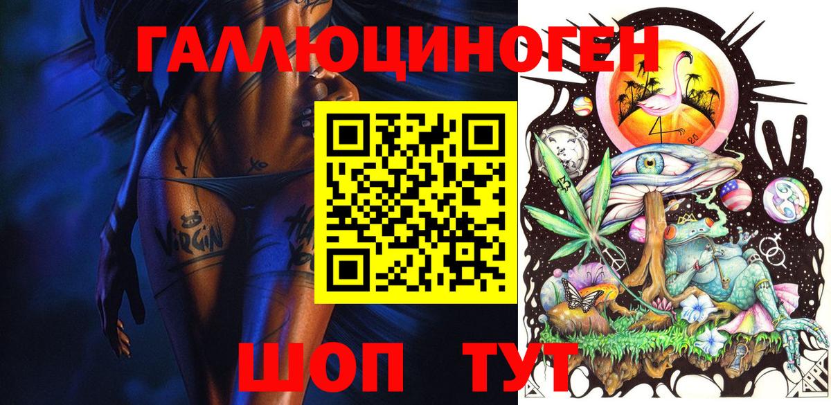Псилоцибиновые грибы Psilocybe Шарыпово