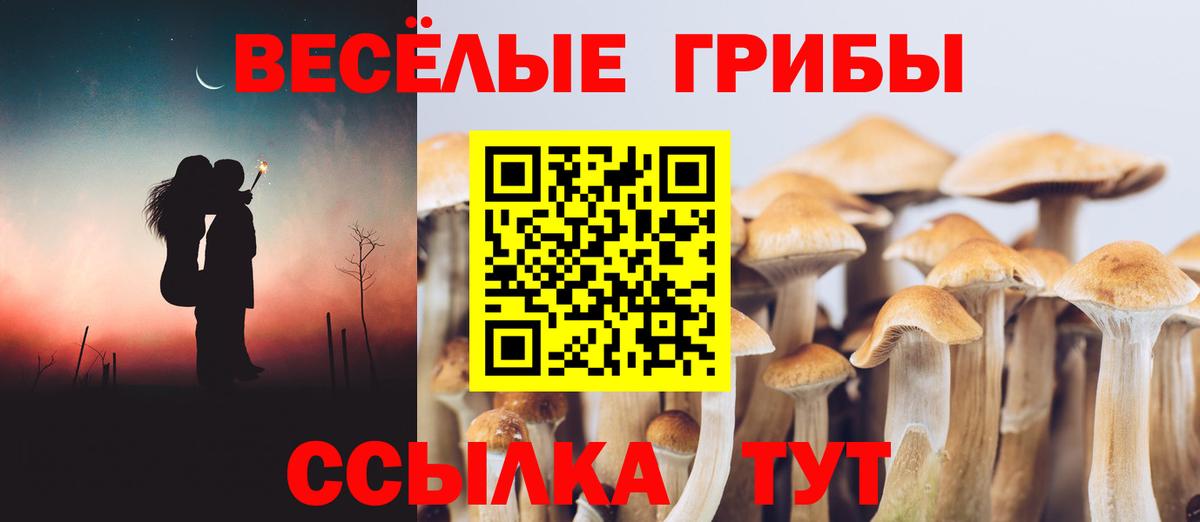 Галлюциногенные грибы прущие грибы  где купить наркоту  Шарыпово  Вход с VPN  Псилоцибиновые грибы MAGIC MUSHROOMS 